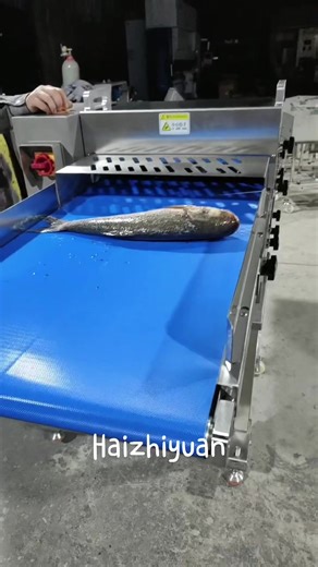 Fish section cutting machine#seafood #vegetables #machine #food