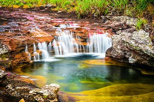 Colombia’s ‘Liquid Rainbow’ River Is the Only Place on Earth to See These Colorful Plants in Full Bloom