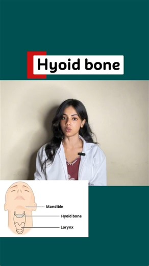 Hyoid Bone: The Only Bone That Doesn't Touch Any Other Bone! 🤯🦴