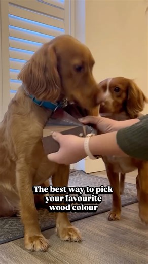 𝒮𝒾𝑔𝓃𝒶𝓉𝓊𝓇𝑒 𝒲𝒾𝓃𝒹𝑜𝓌 𝒮𝒽𝓊𝓉𝓉𝑒𝓇𝓈 on Instagram: "Trust us, this is the best way to get your perfect colour match 🐶 🪵 🏡 Our top of the range window shutter is crafted from luxury stained hardwood 🤎 #woodenshutters #plantationshutters #woodinterior #windowshutters #newbuilddecor"