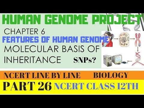 PART-26 HGP-SALIENT FEATURES OF HUMAN GENOME||CHAPTER 6 NCERT CLASS 12TH BIOLOGY