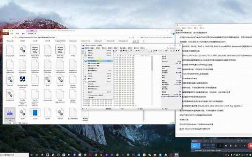 245：X-Ways Forensics v20.2 SR-3 专业计算机综合取证分析工具