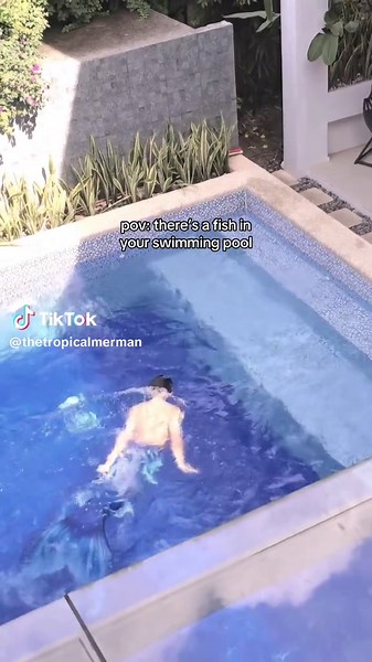 Mermaids Love Pool Hopping: Fun Facts Revealed