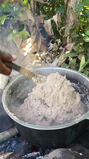 Cooking Traditional Brown Ugali 🌾🔥 | Village Style Meal