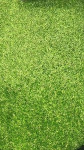 250K views · 5.3K reactions | Nike T90 Laser I brand new #football #cleats #cleatscheck #cleatok #footballboots #boots #bootsontheground | Shop_tcrampons | Facebook