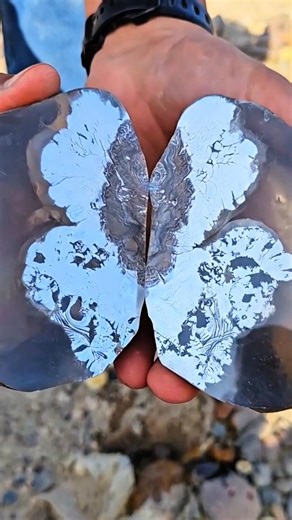 The Hidden Treasure: The Magnificent Butterfly Geode Unveiled! 🦋