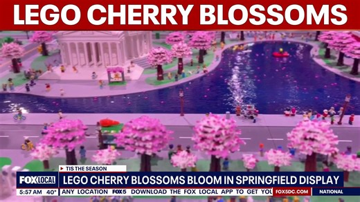 LEGO cherry blossoms hit peak bloom in Springfield