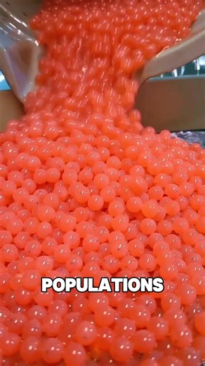 How Scientists Are Saving Fish 🤯