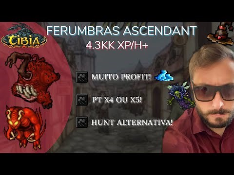 Tibia: Hunt Lvl. 250+ Guia Completo | Caminho Ferumbras Ascendant | 4.6kk EXP/h +