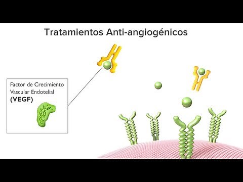 Tratamientos antiangiogénicos para la DMAE húmeda: ANIMACIÓN