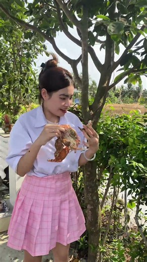 Ghẹ mọc trên cây #funny #shots