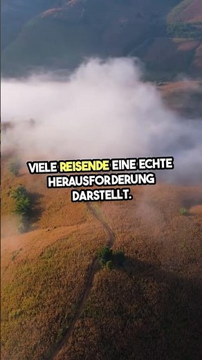 Von Berlin direkt nach Thailand – und plötzlich....