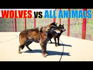 Far Cry 5 Arcade - Animal Fight: Wolf vs All Animals Tag Team Battles