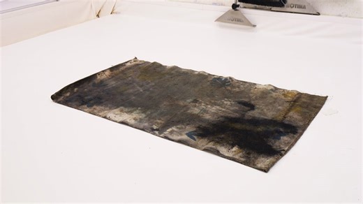 I tackled the toughest rug mess ever! 🧼✨