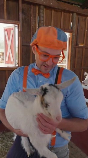 What is a Baby Goat Called? #babyanimals #blippi #farmanimals