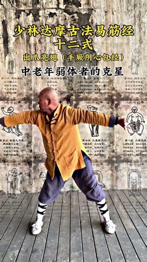 Unlock the Secrets of Shaolin Kung Fu: Master Yijin Jing's 12 Forms