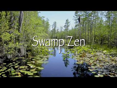 Experience Swamp Zen at the Okefenokee Swamp Park in Waycross, Georgia