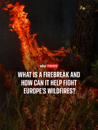 What is a firebreak and how can it help fight Europe's wildfires? Sky's Sadiya Chowdhury reports from an emergency preventative operation as fires in France and Spain have forced the evacuation of more than 360,000 people. #wildfires #europe #spain #france