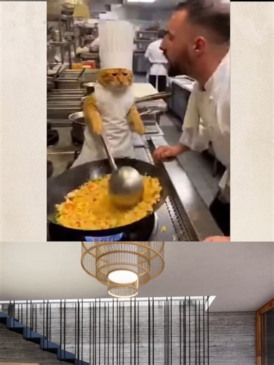 Designing a studio interior is 90% focus and 10% getting distracted by AI pets videos! 🐾✍️ High-end living area concept for a studio layout. Part 1. #studiointeriors #architectpov #interiordesign #ModernLiving #enscapeforsketchuppe #studioapartment #QuezonCityArchitect