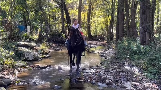 3.5K views · 24 reactions | 푩푳푼푬 푴푶푶푵 푮푰푵푶  15HH 11YO, ROCKY...