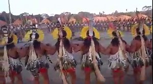 Our friend Holikiari sent us through this video of the women’s ritual happening now among the Enawene Nawe tribe in #Brazil, called "Kateoko". "Kateoko", the Honey Festival, is held every other year. The men leave the village to collect huge quantities of wild honey. As each group returns from their expedition, they hide until the women start their dance, when they ‘bathe’ the women in honey. 🍯🐝 Really good to see that the Enawene Nawe are still holding all their rituals despite many challenge