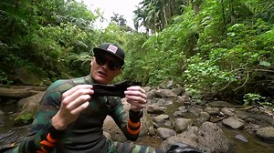 362K views · 2.8K reactions | I went treasure hunting in Hawaii! Watch to see what I found. | D ALL MY D | Facebook