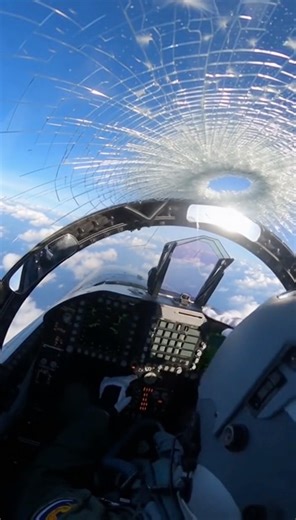 Ai Incidents on Instagram: "Cockpit GoPro — huge bird slams directly into canopy at high speed, glass spiderwebs instantly, feathers scatter inside cockpit, alarms blaring as pilot struggles to see."