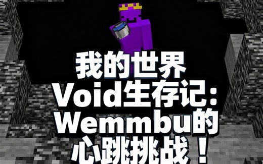 [中配]我的世界Void生存记：Wemmbu的心跳挑战！ - Wemmbu