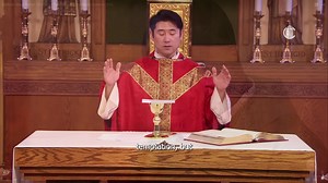 Experience the mystery of the Holy Mass. Daily Mass streams at 9:30 AM EST here on CatholicTV. | The CatholicTV Network