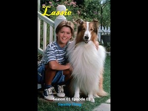 Lassie 1997 TV Series | Season 01 Episode 03 | Swamp Thing