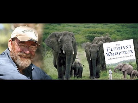 When The Elephants Came To Mourn Lawrence Anthony - 'The Elephant Whisperer'
