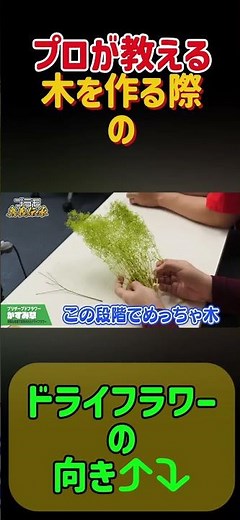 [Expert Tips] The Direction of Dried Flowers When Making Your Own Tree ⤴︎⤵︎ [Introduction to Plas...