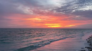 21K views · 788 reactions | WE LIVE HERE: Take a look at this beautiful video our photographer Justin Rogers got on Siesta Key this evening. 8.wfla.com/2MuMy3Y | WFLA News Channel 8 | Facebook