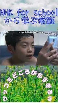 NHK for schoolから学ぶ常識 #キャンバ #shorts