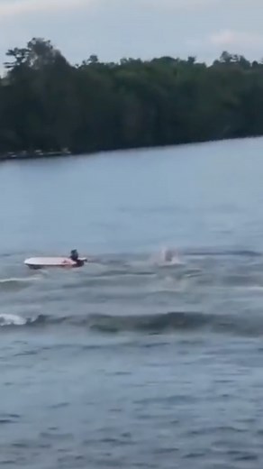 2.4M views · 13K reactions | Boat fail compilation! 勞 #boat #fail #funny | Bearded Brad | Facebook