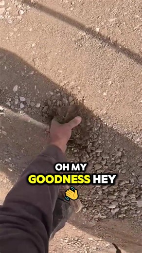 Concrete Excavation and Gravel Placement