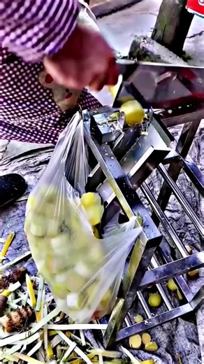 Juicing Fresh Fruits and Vegetables Outdoors