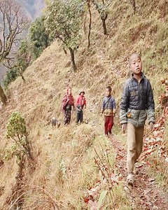 Daily activities in village | Daily village life | Harvest Village