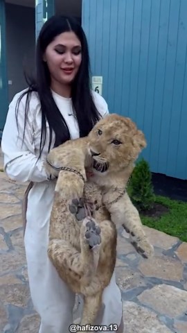 Animals In Action As They Fight It Out