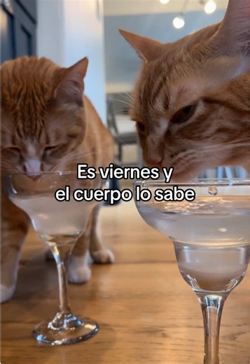 Es viernes y el cuerpo lo sabe! #spanishtiktok | Es Viernes El Cuerpo Lo Sabe