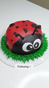 Lady Bug Cake 🐞❤️ | Bliss Bytes by Rakhi Mohite