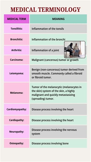 Medical Terminology: Essential Terms Every Healthcare Student Should Know