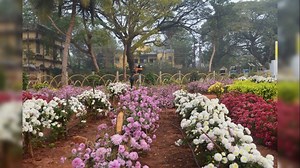 1.7K views · 112 reactions | About 93 years ago i.e. on April 15,1925, Our West Godavari was formed with Eluru as headquarter and district collectorate was opend in 1932. Here is some beautiful views of collectorate building. | Eluru - The City of Helapuri | Facebook
