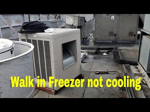 Walk in Freezer not cooling
