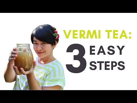 How to Make Vermi Tea in 3 Easy Steps