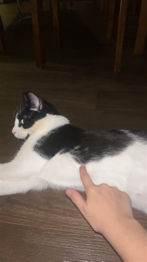 Do not buy this keyboard