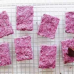 {NEW} Blackberry Coconut Bars💜 The berry-sweetened and beautifully PURPLE version of a homemade bounty bar, but vegan and only 5 ingredients! RECIPE >>> https://www.feastingonfruit.com/blackberry-coconut-bars/ | Feasting on Fruit