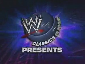 The Road Warriors take on the Fabulous Freebirds in a championship...