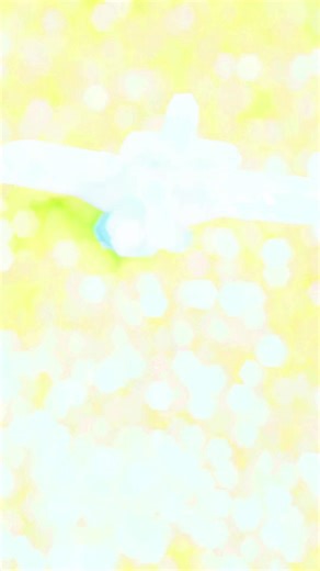 Marton Green Model Flying Club: Discover the Hobby