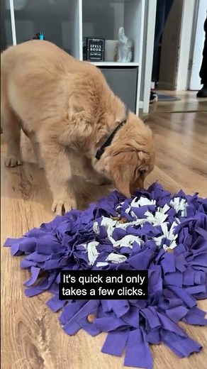 Cute puppies 🤝 real change. #GuideDogs #GuideDogsUK #Campaigning #Campainger #ECampaigner